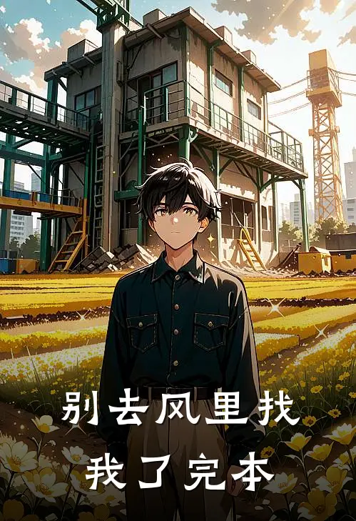 别去风里找我了完本