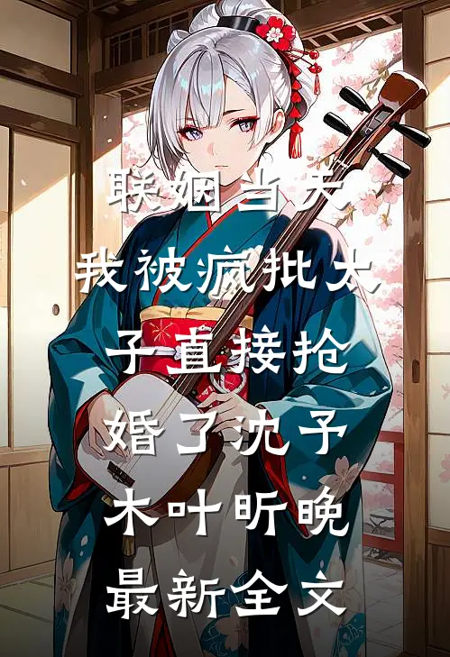 联姻当天，我被疯批太子直接抢婚了沈予木叶昕晚最新全文