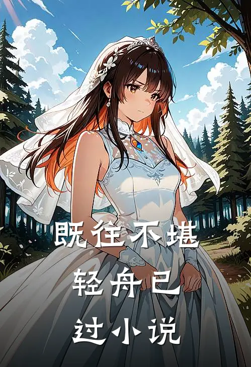 既往不堪，轻舟已过小说