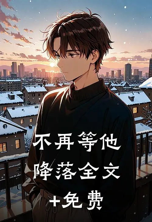 不再等他降落全文+免费