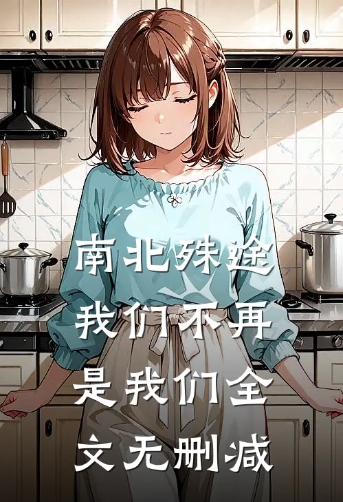 南北殊途，我们不再是我们全文无删减