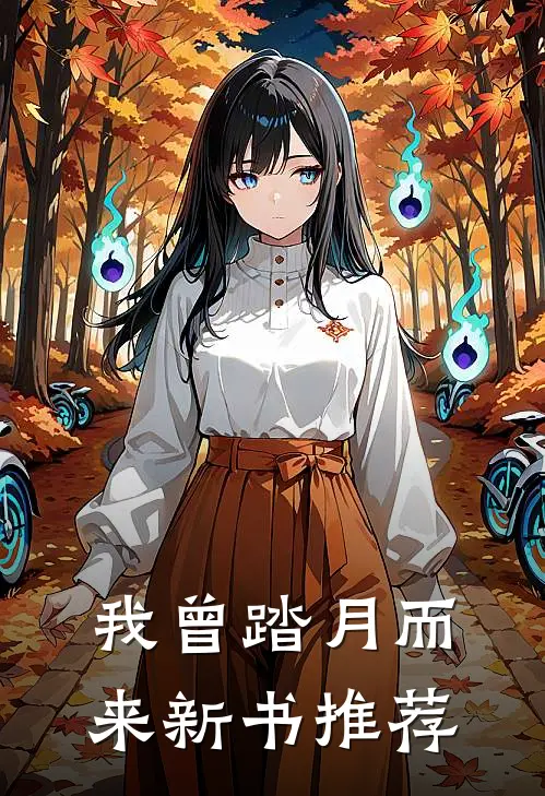 我曾踏月而来新书推荐