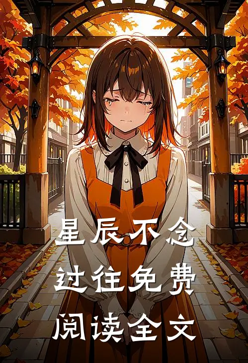 星辰不念过往免费阅读全文