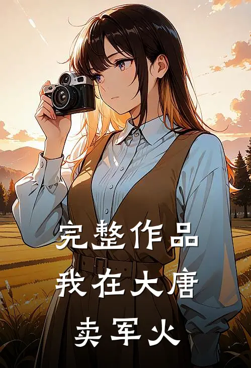 完整作品我在大唐卖军火