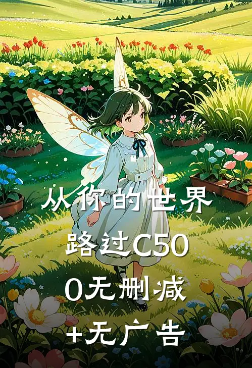 从你的世界路过C500无删减+无广告