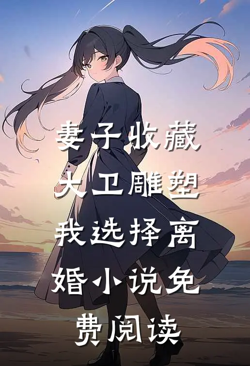 妻子收藏大卫雕塑，我选择离婚小说免费阅读