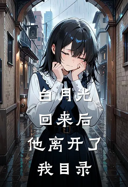 白月光回来后，他离开了我目录