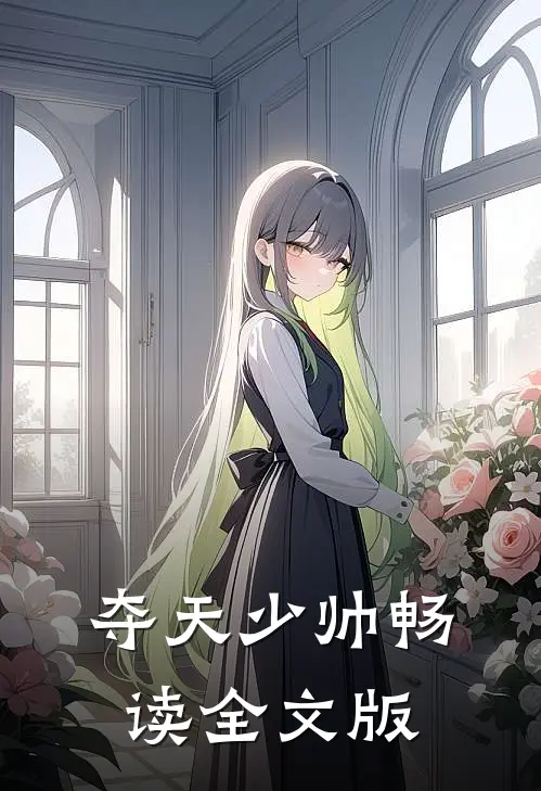 夺天少帅畅读全文版