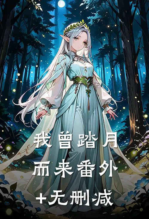 我曾踏月而来番外+无删减