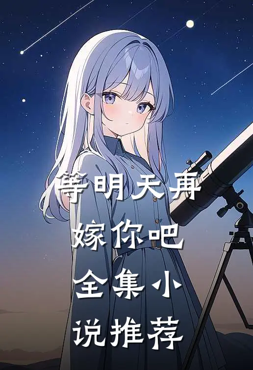 等明天再嫁你吧全集小说推荐