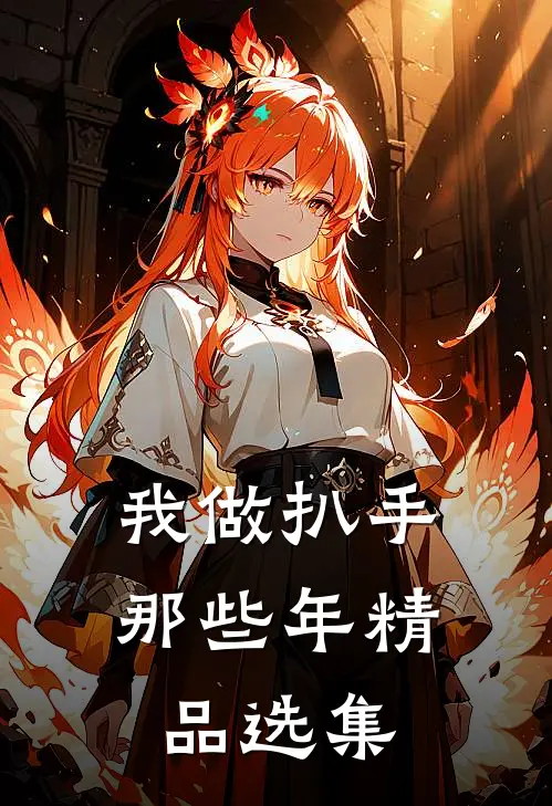 我做扒手那些年精品选集