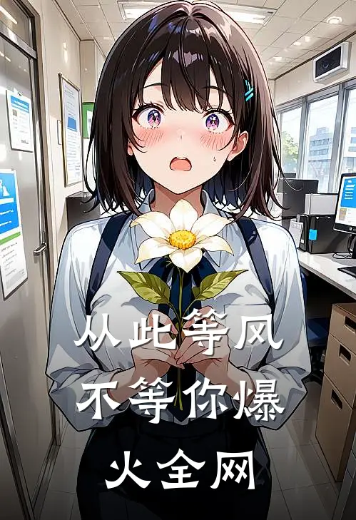 从此等风不等你爆火全网