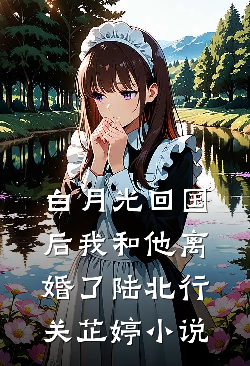 白月光回国后我和他离婚了陆北行关芷婷小说