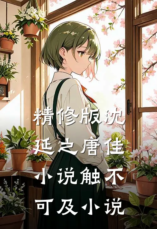 精修版沈延之唐佳小说触不可及小说