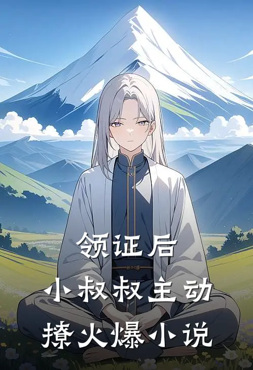领证后，小叔叔主动撩火爆小说