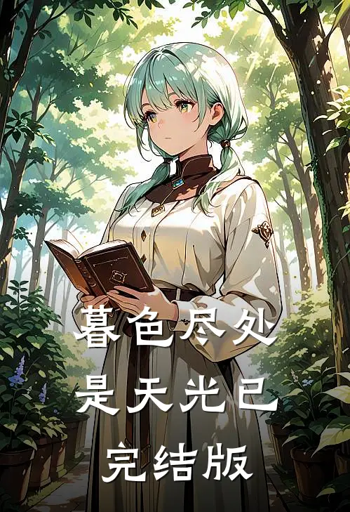 暮色尽处是天光已完结版