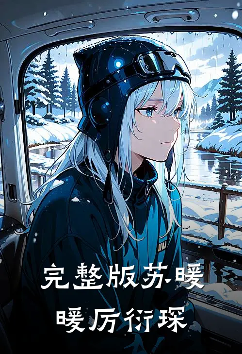 完整版苏暖暖厉衍琛