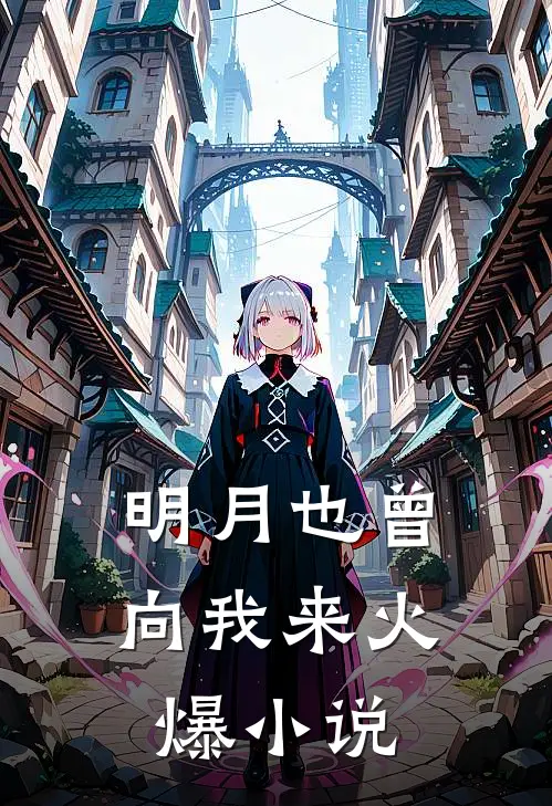 明月也曾向我来火爆小说
