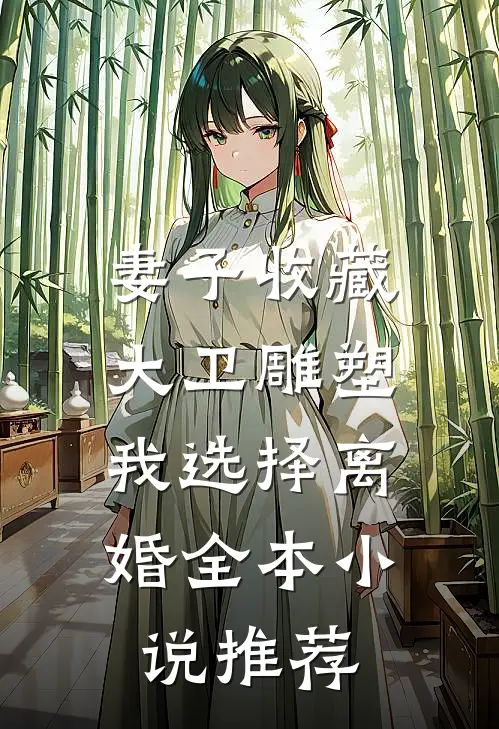 妻子收藏大卫雕塑，我选择离婚全本小说推荐