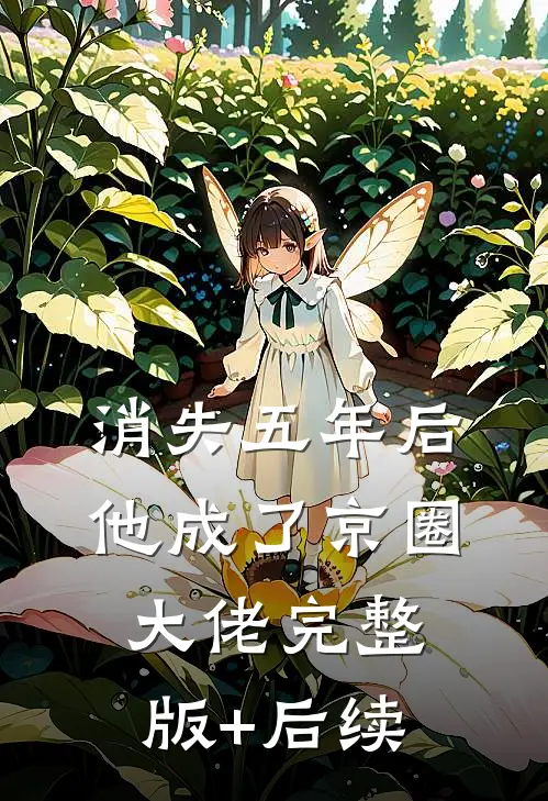消失五年后他成了京圈大佬完整版+后续