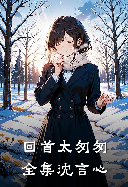 回首太匆匆全集沈言心