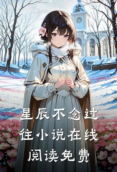 星辰不念过往小说在线阅读免费