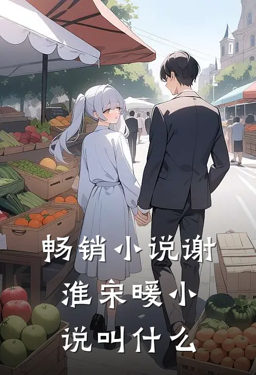畅销小说谢淮宋暖小说叫什么