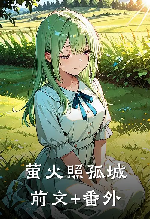 萤火照孤城前文+番外