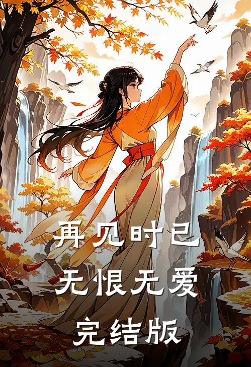 再见时已无恨无爱完结版