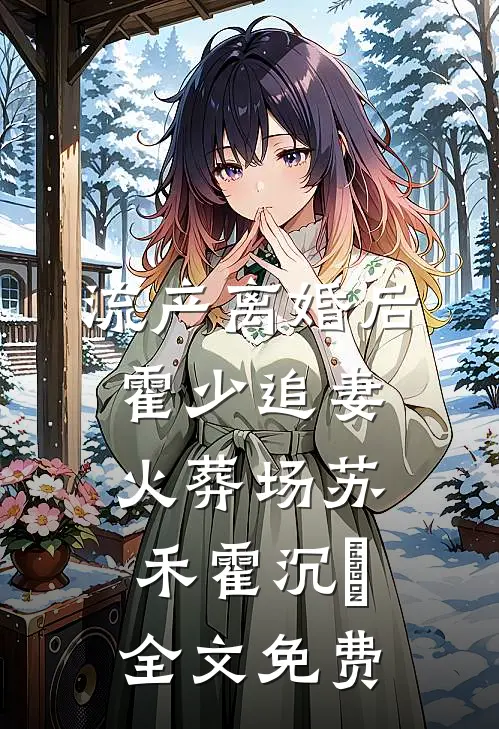 流产离婚后，霍少追妻火葬场苏禾霍沉晞全文免费