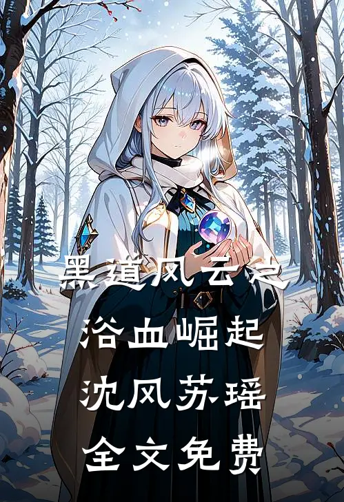 《黑道风云之浴血崛起》沈风苏瑶全文免费
