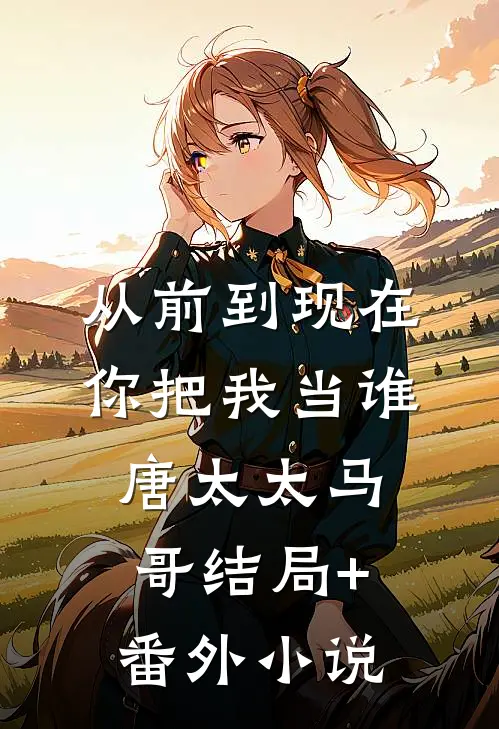 从前到现在，你把我当谁唐太太马哥结局+番外小说
