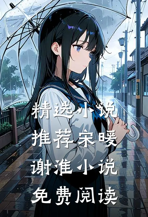 精选小说推荐宋暖谢淮小说免费阅读