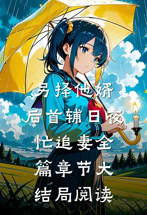 另择他婿，后首辅日夜忙追妻全篇章节大结局阅读
