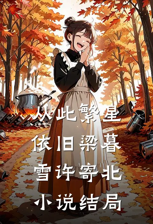从此繁星依旧梁暮雪许寄北小说结局