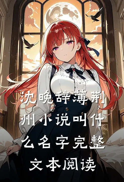 沈晚辞薄荆州小说叫什么名字完整文本阅读