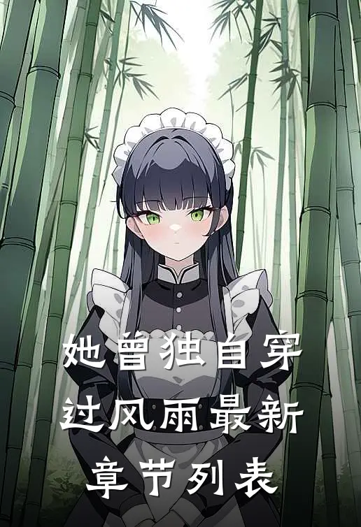 她曾独自穿过风雨最新章节列表