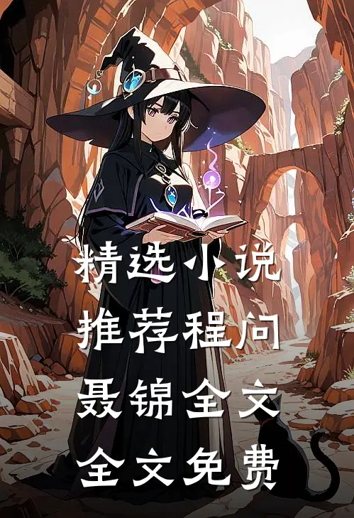 精选小说推荐程问聂锦全文全文免费