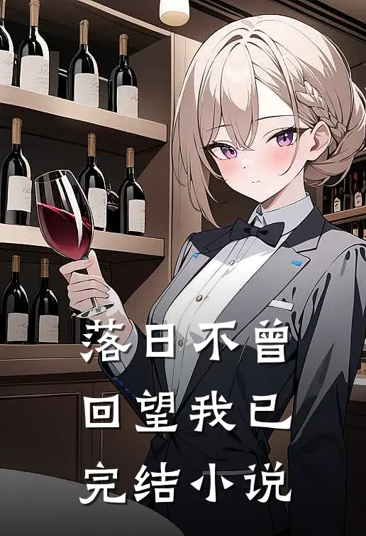 落日不曾回望我已完结小说