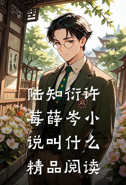 陆知衍许莓薛岑小说叫什么精品阅读