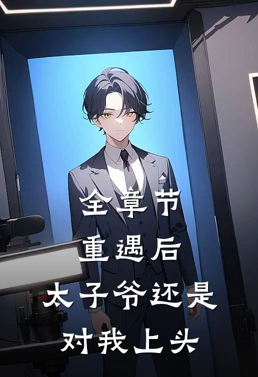 全章节重遇后，太子爷还是对我上头