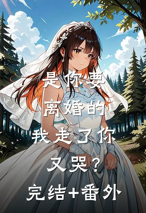 是你要离婚的，我走了你又哭？完结+番外