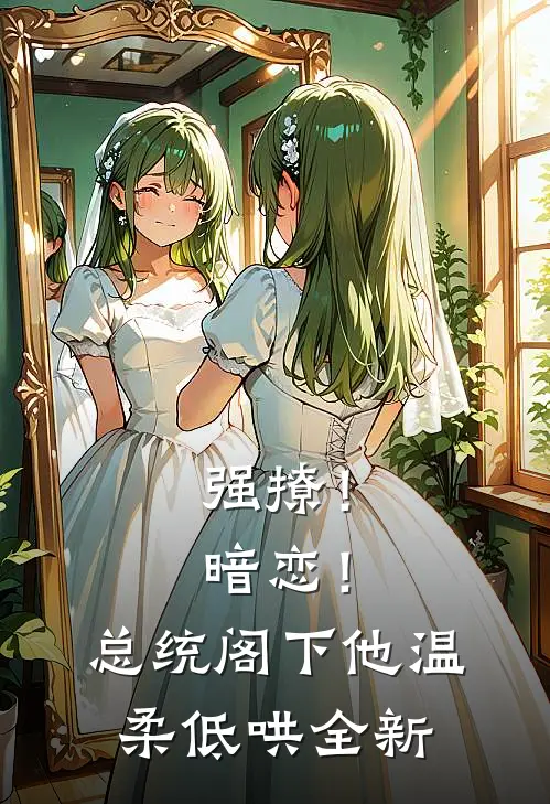 强撩！暗恋！总统阁下他温柔低哄全新
