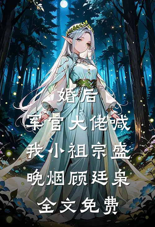 婚后，军官大佬喊我小祖宗盛晚烟顾廷枭全文免费