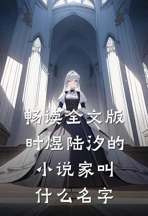 畅读全文版时煜陆汐的小说家叫什么名字
