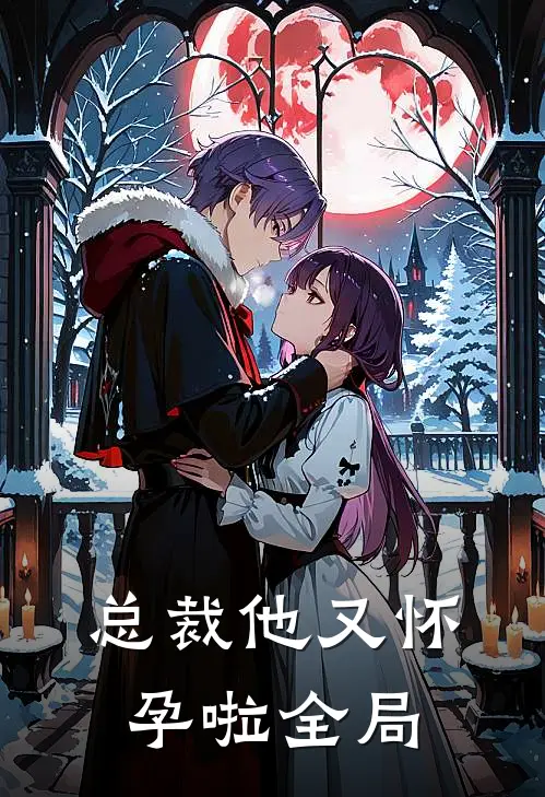 总裁他又怀孕啦全局