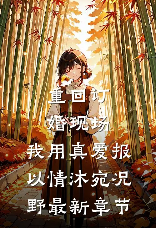 重回订婚现场，我用真爱报以情沐宛况野最新章节