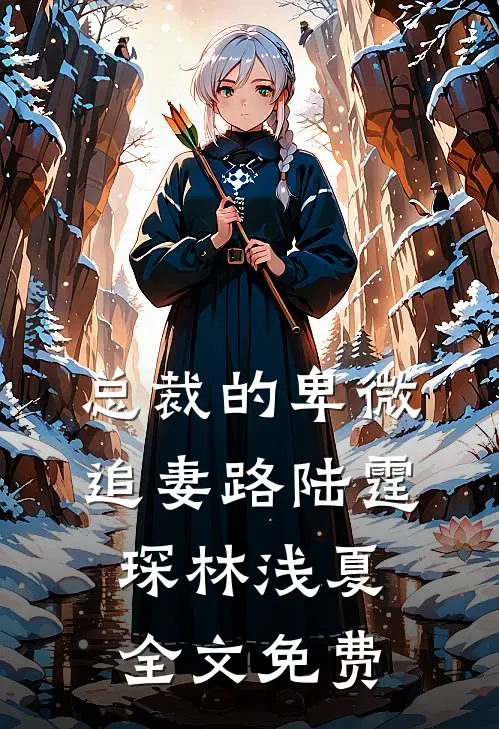 总裁的卑微追妻路陆霆琛林浅夏全文免费