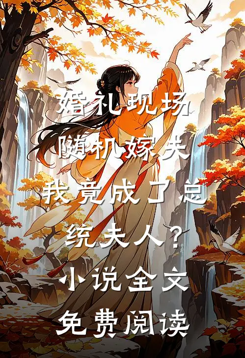 婚礼现场随机嫁夫，我竟成了总统夫人？小说全文免费阅读