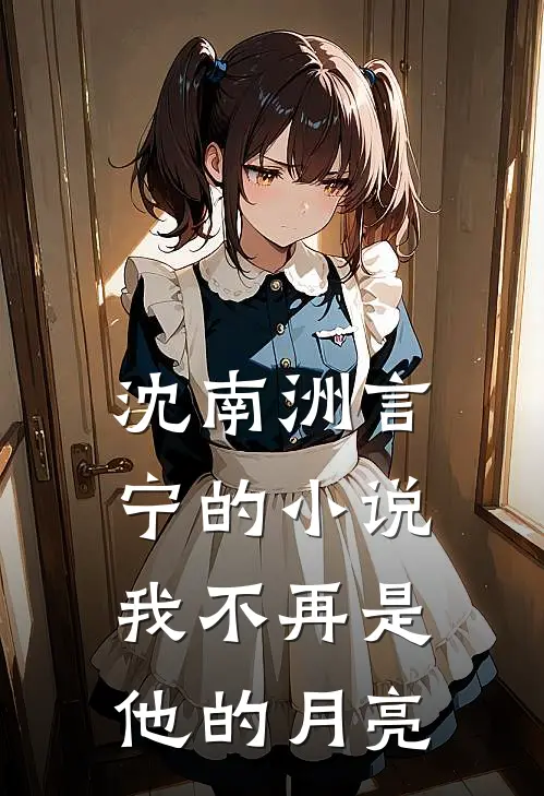 沈南洲言宁的小说我不再是他的月亮